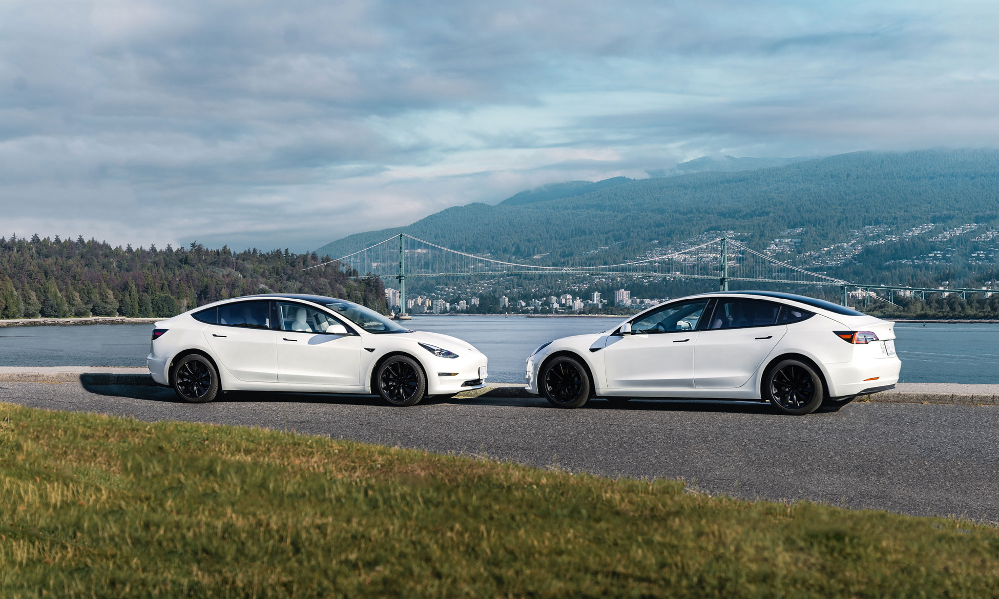 two white Tesla