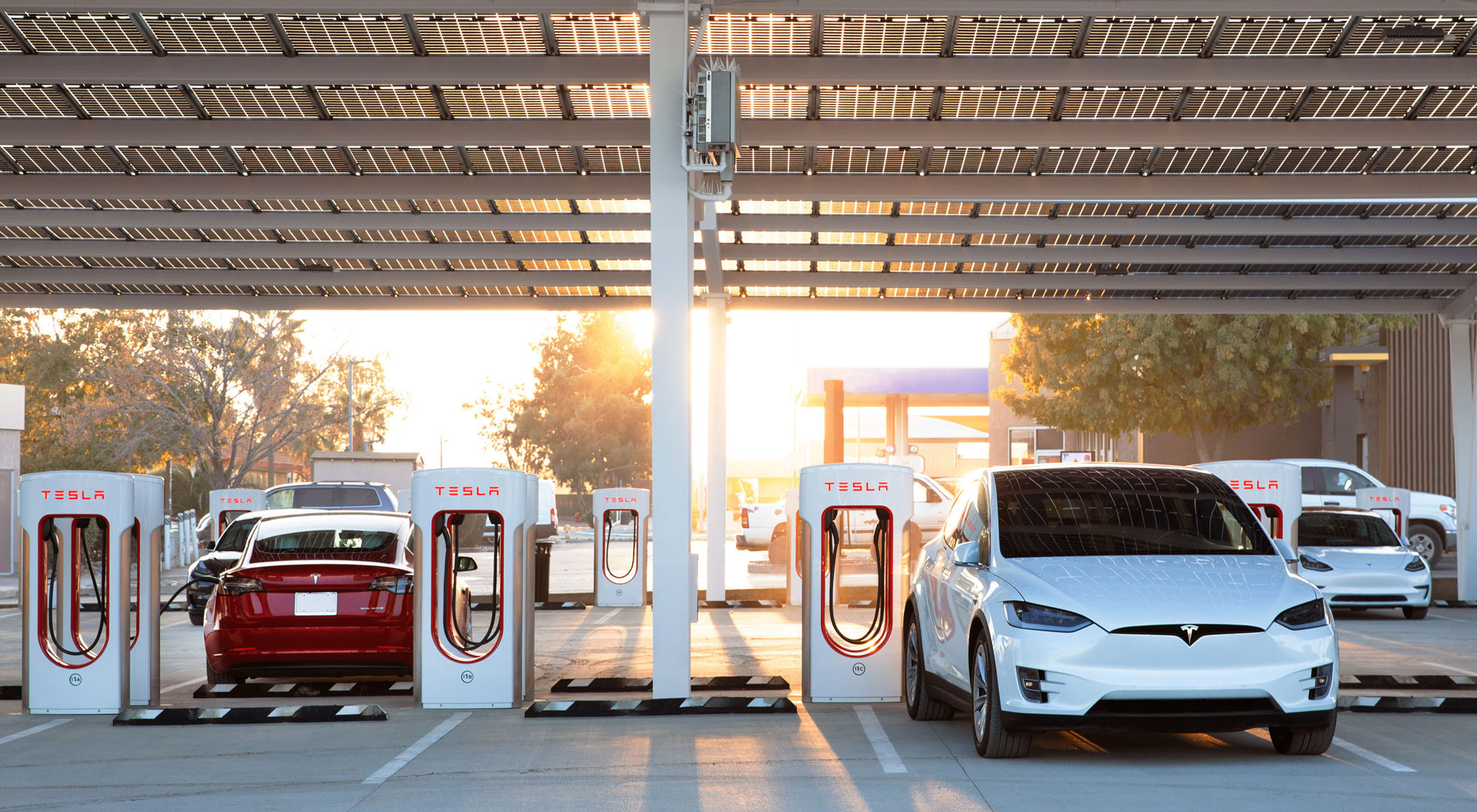 Tesla cars at charging station